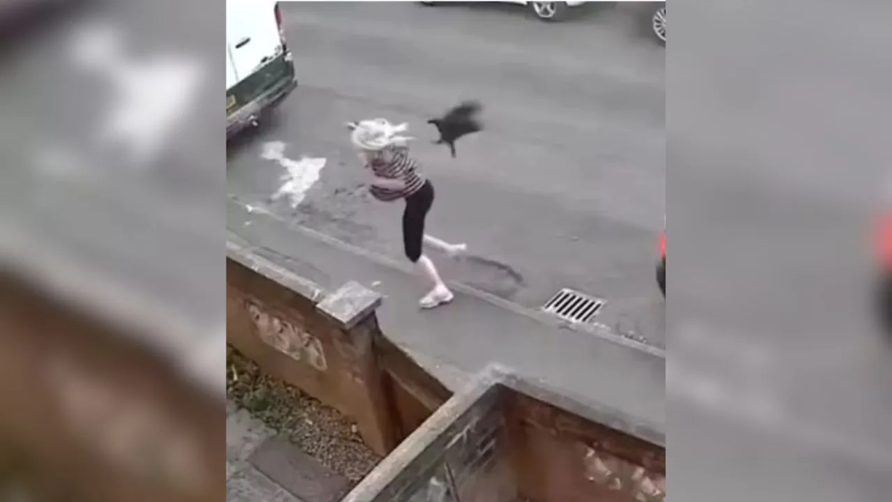 mulher e corvo